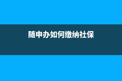 随申办医保怎么查询个人缴纳明细？ (随申办如何缴纳社保)