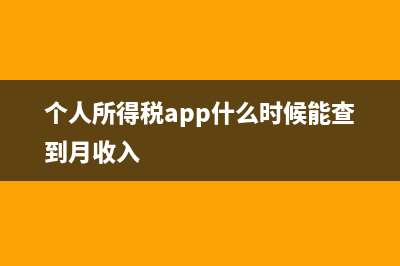 个人所得税app什么作用 (个人所得税app什么时候能查到月收入)