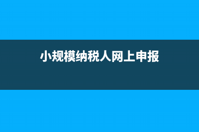 小规模纳税人网上零申报怎么操作？ (小规模纳税人网上申报)