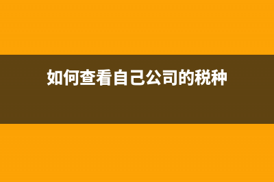 如何查看自己公司能开什么发票？ (如何查看自己公司的税种)