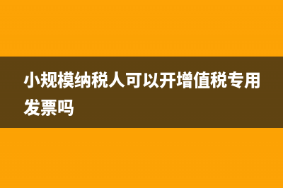 小规模纳税人可以出口退税吗？ (小规模纳税人可以开增值税专用发票吗)