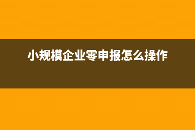 小规模企业零申报网上申报流程？ (小规模企业零申报怎么操作)