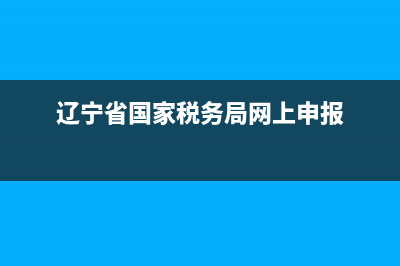 辽宁省国家税务局发票验证(辽宁省国家税务局发票验证码查询) (辽宁省国家税务局网上申报)