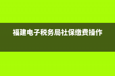 福建电子税务局增值税发票网上申领(福建省增值税电子普通发票) (福建电子税务局社保缴费操作)