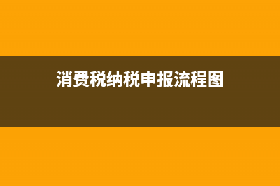 消费税申报详细步骤？ (消费税纳税申报流程图)