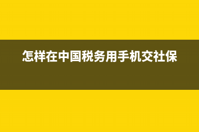 在税务app上交社保怎么交？ (怎样在中国税务用手机交社保)