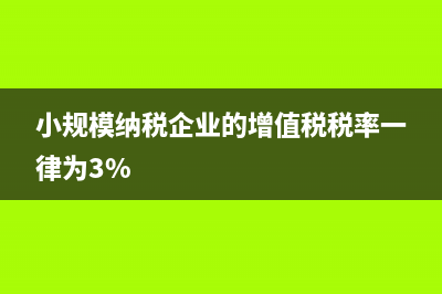 小规模纳税企业年度财务报表怎么申报？ (小规模纳税企业的增值税税率一律为3%)