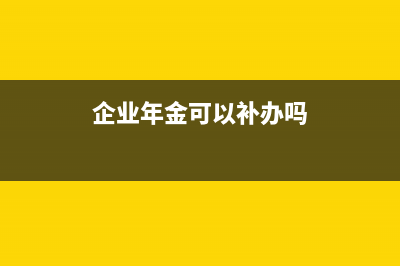 企业年金可以补交吗？ (企业年金可以补办吗)