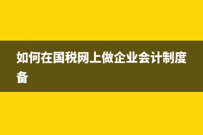 如何在国税网上查社保(如何在国税网上查社保余额) (如何在国税网上做企业会计制度备)