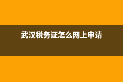 武汉税务证怎么办理流程(武汉税务登记证在哪里办理?) (武汉税务证怎么网上申请)