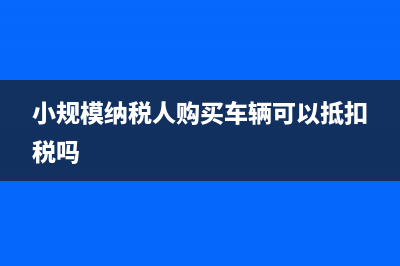 小规模纳税人购买税控盘的发票怎么抵扣税款？ (小规模纳税人购买车辆可以抵扣税吗)