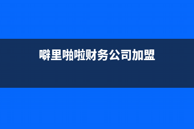 噼里啪啦智能财税官网 (噼里啪啦财务公司加盟)