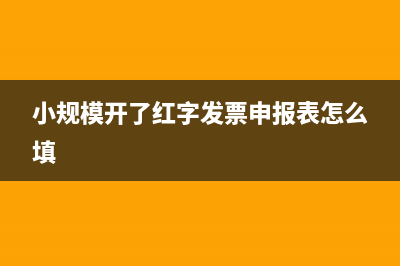 小规模开了红字发票申报表怎么填？ (小规模开了红字发票申报表怎么填)