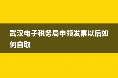 武汉电子税务局网站(武汉电子税务局网站官网) (武汉电子税务局申领发票以后如何自取)
