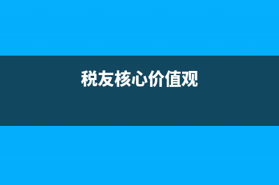 税务核心价值观(税务核心价值观探究) (税友核心价值观)