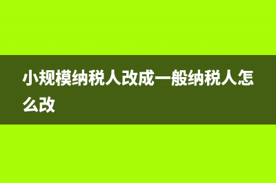 小规模纳税人改一般纳税人的情况说明怎么写？ (小规模纳税人改成一般纳税人怎么改)