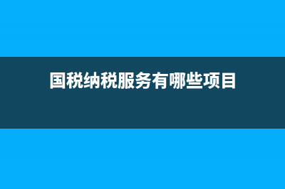 国税纳税服务有哪些部门？ (国税纳税服务有哪些项目)