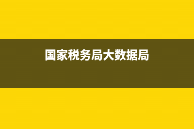 国家税务局大数据系统(税务总局大数据云平台) (国家税务局大数据局)