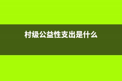 村级公益性支出范围？ (村级公益性支出是什么)