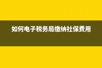 如何电子税务局社保申报(电子税务局社保申报步骤) (如何电子税务局缴纳社保费用)