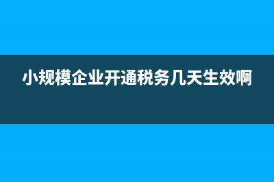小规模企业开通税务(小规模纳税人开通税务流程) (小规模企业开通税务几天生效啊)