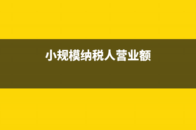 小规模纳税人营业收入多少元以上需要交水利基金？ (小规模纳税人营业额)