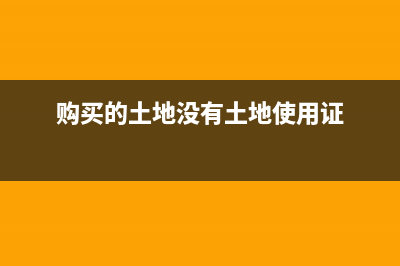 购买土地没有凭证可否作为土地增值税扣除项目？ (购买的土地没有土地使用证)