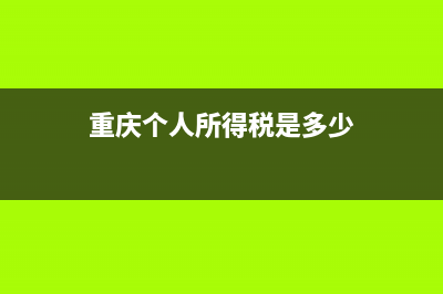 重庆个人所得税申报客户端 (重庆个人所得税是多少)