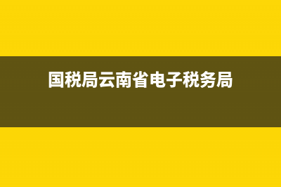 云南省国税电子发票(云南省电子税务发票) (国税局云南省电子税务局)