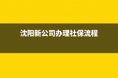 沈阳新公司办理税务(沈阳办理税务登记流程) (沈阳新公司办理社保流程)