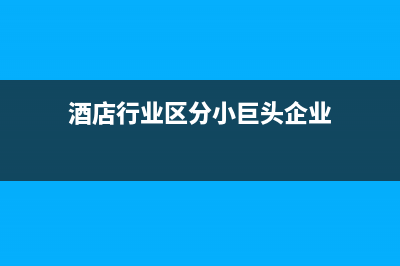 酒店行业区分小规模纳税人和一般纳税人？ (酒店行业区分小巨头企业)