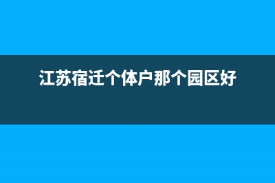 江苏宿迁个体户申报网上申报流程？ (江苏宿迁个体户那个园区好)