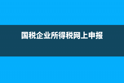 国税企业所得税年报申报表(2021企业所得税年报填表说明) (国税企业所得税网上申报)