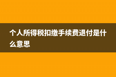 个人所得税扣缴方式选哪个？ (个人所得税扣缴手续费退付是什么意思)