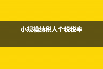 小规模纳税人个税怎么网上申报？ (小规模纳税人个税税率)