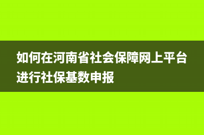 如何在“河南省网上税务局”申报缴纳社保费？ (如何在河南省社会保障网上平台进行社保基数申报)