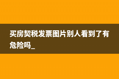 买房契税发票图片别人看到了有危险吗 