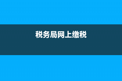 网上税务局纳税人端周末上不去吗？ (税务局网上缴税)