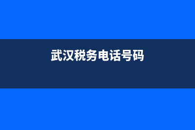 武汉12366国税电子税务局(武汉税务网上税务局) (武汉税务电话号码)