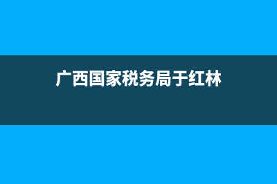 广西国家税务局网上认证(登录广西税务12366) (广西国家税务局于红林)