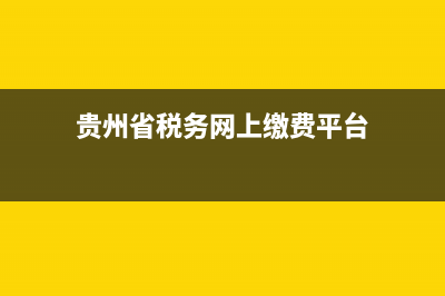 贵州省税务网上申报 (贵州省税务网上缴费平台)