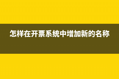 怎样在开票系统里面查询开票额度？ (怎样在开票系统中增加新的名称)