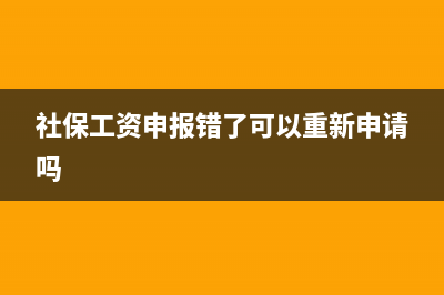 社保工资申报错误怎么办？ (社保工资申报错了可以重新申请吗)