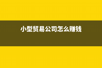 贸易公司(小额纳税人)如何缴纳企业所得税的？ (小型贸易公司怎么赚钱)