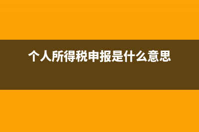 个人所得税申报不上了怎么办？ (个人所得税申报是什么意思)