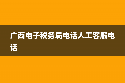 广西电子税务局网上纳税申报流程？ (广西电子税务局电话人工客服电话)