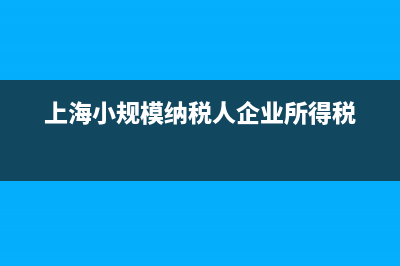 上海小规模纳税人网上报税怎么操作 (上海小规模纳税人企业所得税)