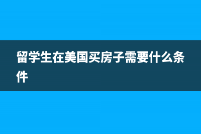留学生在美国买LV能退多少税？ (留学生在美国买房子需要什么条件)