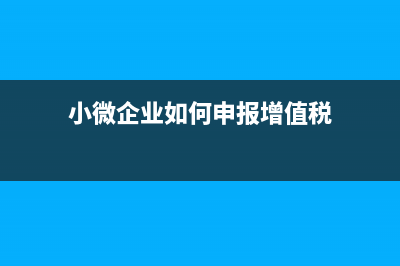 小微企业如何申报？ (小微企业如何申报增值税)