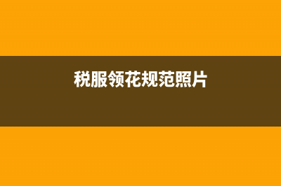 税务制服领花怎么戴？ (税服领花规范照片)